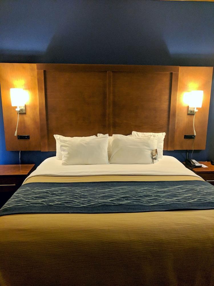 Comfort Inn & Suites Statesboro - University Area Экстерьер фото